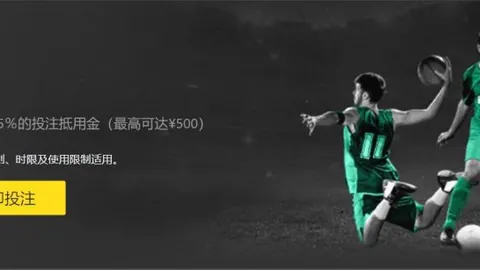 《桑切斯：蜕变中的英超门神，渐成防线守护者之光》