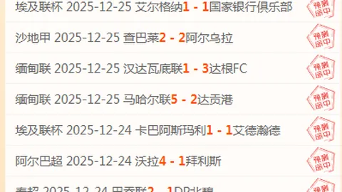 世界杯附加赛 伊拉克对阵玻利维亚